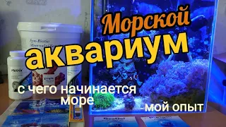 Мой Морской аквариум: с чего начать, комплектация, содержание.