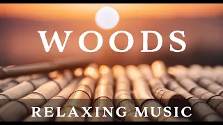 WOODS | Relaxing music for Meditation and Sleep | 50 bpm Wood texture percussion