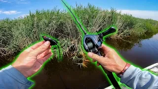 Fishing HEAVY Grass Fields with Topwater Frogs