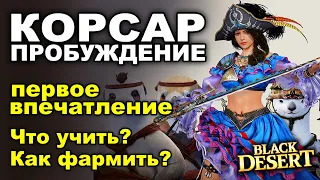 КОРСАР (пробуда): Скилы, фарм и первые впечатления - НЕ гайд в БДО (BDO - Black Desert)