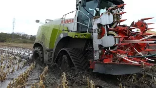 Claas 950 Jaguar w/ Tracks Chopping Corn / Maize in The Muddy & Wet Fields | Häckseln 2017