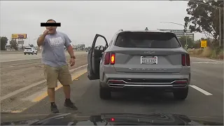 Insane man stops traffic