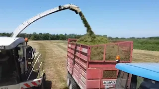 SILAGE TIME WITH MIKE O BRINE AND HIS CLASS