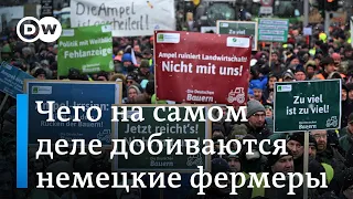 Политическое значение протеста фермеров: чего на самом деле добиваются протестующие