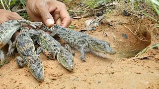 Unbelievable Fishing Technique - Use A Snake To Catch Crocodile In A Pit Deep In The Ground #fish