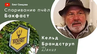 Островное спаривание пчел Бакфаст у Кельда Брандструпа (часть 2)