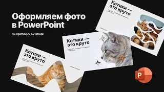 Оформляем фото в PowerPoint на примере котиков