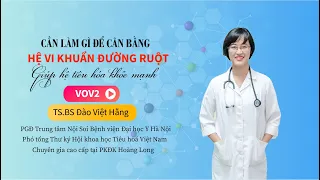 Cần làm gì để cân bằng hệ vi khuẩn đường ruột giúp hệ tiêu hóa khỏe mạnh