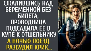 Найдя беременную без билета, проводница посадила ее в купе к отшельнику… А ночью поезд разбудил крик