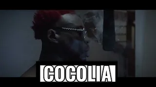 Booba feat Lendja Fox  -- Cocolia (Cocolia challenge 2e couplet)