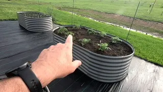 A Quick Garden Update