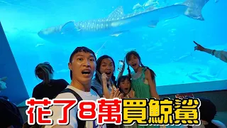 （2023沖繩之旅day4）我們來沖繩就是要看這一隻鯨鯊啦!!不小心買了8萬的鯨鯊週邊!!!?