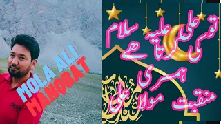 New Qasida 2020 || Tu Ali (as) Ki Karta HaiHumsari || Daniyal || Mola Ali Mangabat ||Tna Records