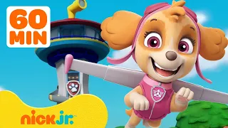 PAW Patrol Skye's BEST Lookout Tower Rescues! w/ Marshall & Skye | 1 Hour Compilation | Nick Jr.