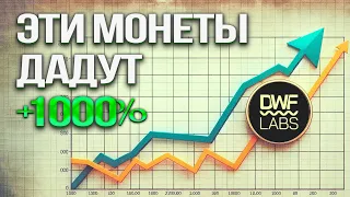 ПОРТФЕЛЬ МАРКЕТ МЕЙКЕРА DWF LABS. МОНЕТЫ НА 10Х