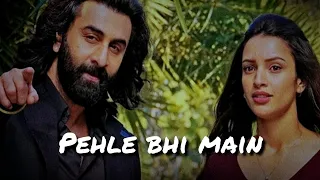 Pehle bhi Main (lyrics video) Ranbir Kapoor || Tripti Dimri || Vishal Mishra (‎@tseries)