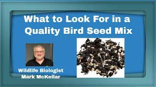 What to Look for in a Quality Bird Seed Mix to Feed Your Backyard Birds