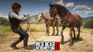 O PEQUENO DOMADOR DE CAVALOS  -  A Fazenda de John Marston -  Red Dead Redemption 2