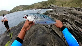 Pescaria no costão da praia brava peixe muito bravo kk!