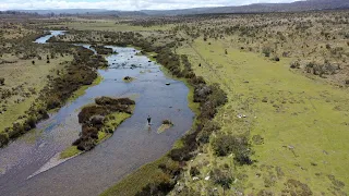 The Best Spots To Fly Fish in Tasmania | Trout Fishing Video