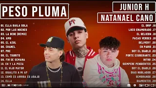 Peso Pluma, Natanael Cano, Junior H - Grandes éxitos Mix 2024 - LAS MEJORES CANCIONES 2024