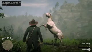 Perlino Andalusian for Arthur - Red Dead Redemption 2