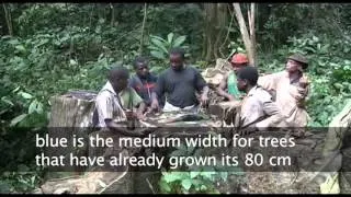 Community mapping by the Baka in their ancestral forests in the Congo Basin