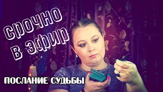 СРОЧНОЕ сообщение от вашей судьбы! Читаем при помощи таро