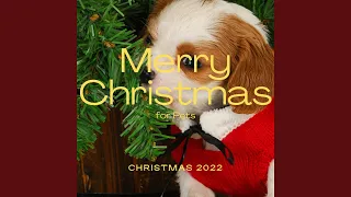 2022 Christmas: Ding Dong Merrily On High