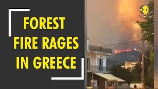 Greece hit by wildfire again; two villages of Evia evacuated as forest fire rages on