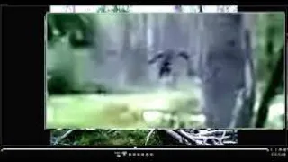 HUGE Russian Bigfoot Sasquatch Hauling Butt, Running From This Family!!