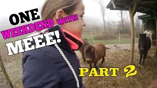 AUSREITEN MIT PAOLA UND SMARTY ♥ | TRAINING MIT INKA ♥ | Marina und die Ponys