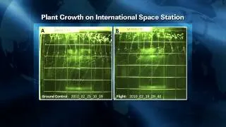 ISS Update: Plants in Space