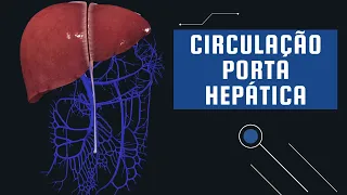 Anatomia da Circulação do Fígado (Porta Hepática)