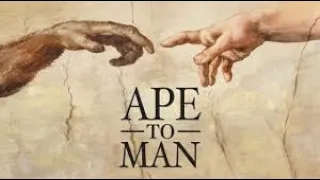 Ape To Man (2005)