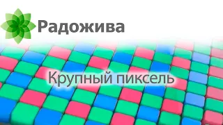 Самый крупный пиксель - ТОП 5 классических цифровых камер со сменной оптикой и самым жирным пикселем