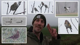 🤯Extraordinary day despite the fog 🦅📸 (over 20 species of birds in one session!)