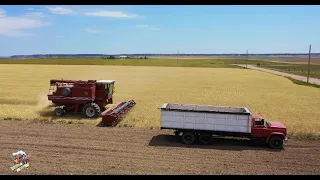 Pine Bluffs Wyoming Wheat Harvest - July 2020