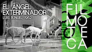 Introducción a EL ÁNGEL EXTERMINADOR - Filmoteca de Sant Joan - "BUÑUEL EN MÉXICO" - Feb/Mar 2016