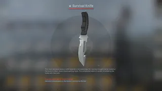 Knife #56: 20 Fracture Case Opening (LUCKY! See description!)