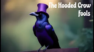 The Hooded Crow - Fools (Deep Purple cover)