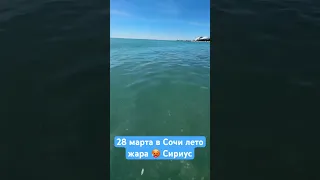 28 марта в Сочи / жара 🥵 лето / имеретинка