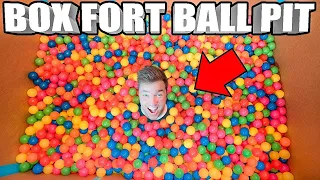 BOX FORT BALL PIT! 📦 Worlds Biggest HomeMade Ball Pit In A Box Fort!!