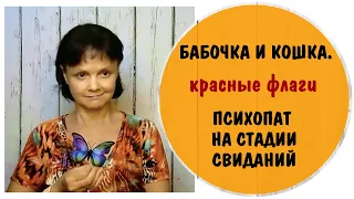 Бабочка и кошка.  Психопат на стадии свиданий.  Красные Флаги