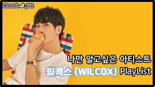 [Playlist] 나만 알고싶은 아티스트: WILCOX(윌콕스) 노래모음 (27Song)