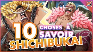 10 CHOSES À SAVOIR SUR LES SHICHIBUKAI (+ petit bonus) | One Piece TOP