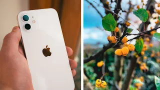 iPhone 12 FULL Camera Test - STUNNING Results!