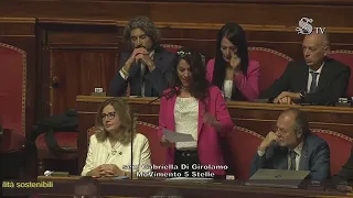 Gabriella Di Girolamo  - Intervento in Senato (28.07.22)