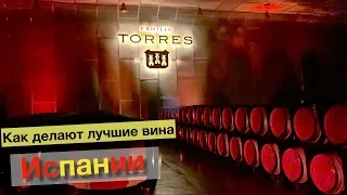 Torres винодельня - лучшее вино Испании | раскрываем секреты, как делают легендарные вина