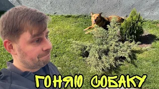 ВЛОГ ! Вернулся домой ! Ругаю собаку